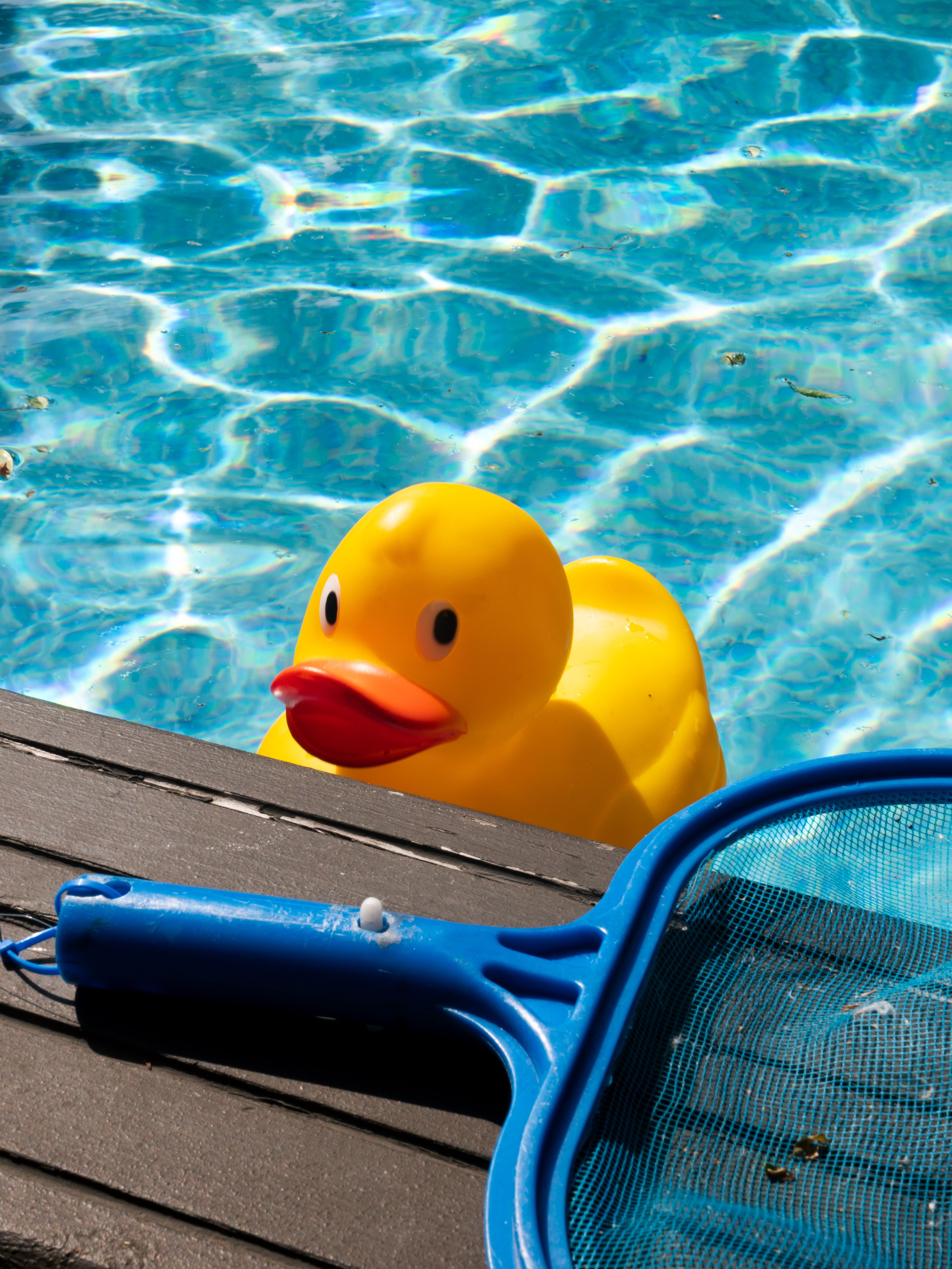 Spa and jacuzzi maintenance